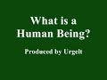 What Is a Human Being?
