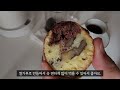 Korean girl VLOG/Making walnut bread with takoyaki pan(steamed cabbage with thin pork belly)