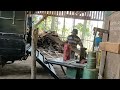 Extraordinary !! the process of sawing giant teak wood with large holes