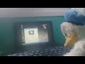 un pato actualiza la computadora