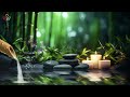 Massage Relaxation Music - Spa Music, Meditation Music to Relax Mind and Body, Calm Music #2