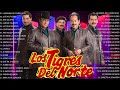 MIX TIGRES DEL NORTE VOL 1 CORRIDOS / Puros Corridos Mix 🔥 Puros Corridos Pesados Tigres Del Norte