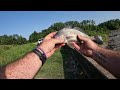 Spillway fishing for whatever bites! (They were demolishing the crawlers!)