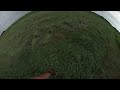 Harvesting meadow hay by hand 360