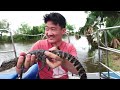 Crazy AIRBOAT TOUR through the Swamps of Louisiana!