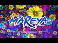 Agrupación Mareya - Mix Mareya (Sólo Éxitos)