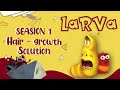The Anger Between Red And Yellow  - Comics | Larva Cartoon - Mini cartoon Movie | LARVA Official.