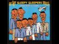 Sleepy Sleepers - Kissankultaa
