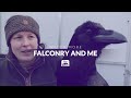 Fable The Raven | Chill out with Fable and watch wild corvids