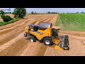 New Holland CX7.80 - Cressoni CRX | Trebbiatura Frumento