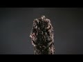 Godzilla vs Hedora Music video-Skillet- Saviors of the world