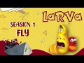 The power of service of a child's home - Cartoon Movie  | Comics  - Mini Series from Animation LARVA