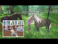 Train and Chat in Star Stable