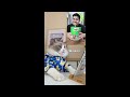 That Little Puff | Cats Make Food 😻 | Kitty God & Others | TikTok 2024 #95