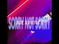 Sorry not Sorry (feat. Viktor S) (Official audio)
