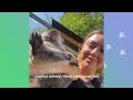 Woman Meets A Wild Otter For The First Time And It's Adorable! | Cuddle Buddies