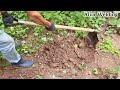 Genius 2-In-1 Shovel Hack - Amazing Gardening Trick