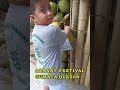 Aranat Festival Sa Gumaca Quezon Halinat  Kay Gandang Panoorin #festival