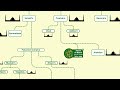 Family tree of Islam | How Islam divided after Prophet Muhammad? | Sects of Islam | Islam Firqah