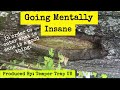 Going Mentally Insane (Official Song Produced By: @tempertrapuk )