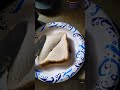how to prepare sandwich for cat