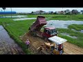 Full video New Path Landfill in flooded the area, KOMATSU D20P bulldozer & 5ton dump truck