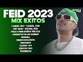 Feid Mix Exitos  2024 -  MEJORES CANCIONES DE Feid 2024