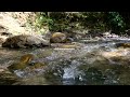 Relaxing Calm River Water Sounds