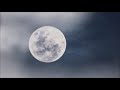 🌙MUSIQUE POUR DORMIR: Sleep music | nature sounds | relaxation | Belle musique douce | Musique piano