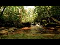 calming waterfall sounds 1080p