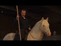 Jousting: A Modern Knight's Passion