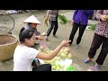Country Life 60 Busy Days Harvesting Guava, Longan, Shrimp, Eggplant go market sell - Building Farm