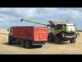 Best work view - Claas Lexion 8700 harvesting barley with views over Ferring Lake | Harvest 2024