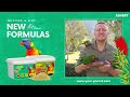 DO THESE PARROTS EXIST? Fake or Reality! - Macaws, Caiques, Lorikeets and more...