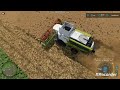 Żniwa rzepakowe z lotu ptaka Claas lexion 5500 Farming Simulator 22 Bjornholm