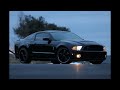 2010 Ford Shelby GT500 Triple Black Winter Photoshoot Using a Canon SL3 250D DSLR