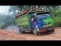 Testing their courage, palm oil truck drivers hit slippery slopes and have potholes.