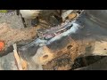 Abuse of trucks 【】How Sensible Mechanic Fully Reparing Cracked Truck Axle By His Dynamic Repairing