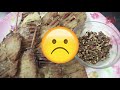 I tried Accordion Potato Recipes but it was a Failed Attempt! 😞 | Recipe With Arsalan