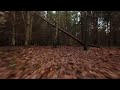 DJI AVATA Stunning FPV drone footage in the Forest