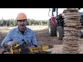 Chainsaw Test - Can Electric Outcut A Gas Chainsaw