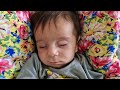 Journey of Joy 🥰: Nomadic Family Visits Newborn Baby👶 in the City Hospital