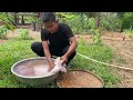 The Best & Easiest PORK Recipe ! Pork Collection Recipe - Cambodian Food Cooking