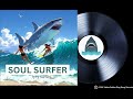 SOUL SURFER - Johnny Punish (feat The TyTy Surfers)