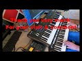 True life - Donkey AdamL. - Arturia MKII 61/Yamaha PSR S775