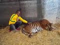 Eu e o tigre