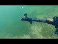 WW2 WEAPONRY Uncovered on Scuba Diving and Magnet Fishing Expedition