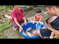 Single father and children meet giant school of fish, catch fish - cook with children