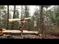 Building a Sauna Cabin with Logs in the Wilderness Alone with My Dog | Start to Finish