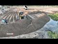 Special Activity Technique Operator Sand Filling Up Bulldozer Force To Pushing Clearing Sand